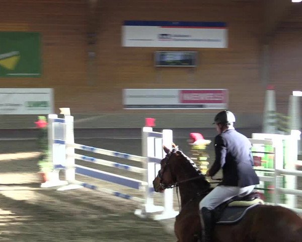 Hallen-Reitturnier Paderborn 2016
