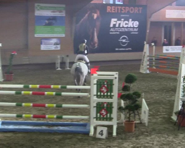 Hallen-Reitturnier Paderborn 2016
