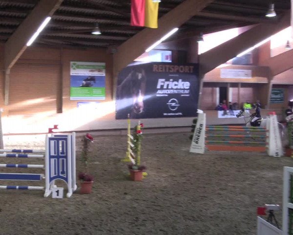Hallen-Reitturnier Paderborn 2016