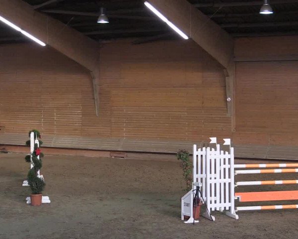 Hallen-Reitturnier Paderborn 2016