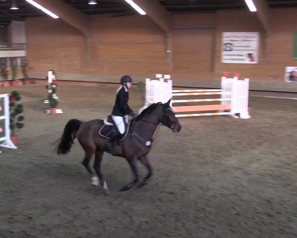 Hallen-Reitturnier Paderborn 2016
