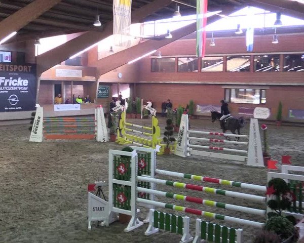 Hallen-Reitturnier Paderborn 2016