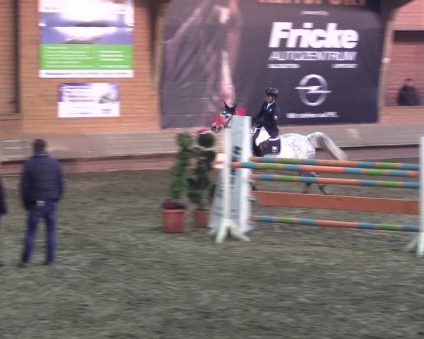 Hallen-Reitturnier Paderborn 2016