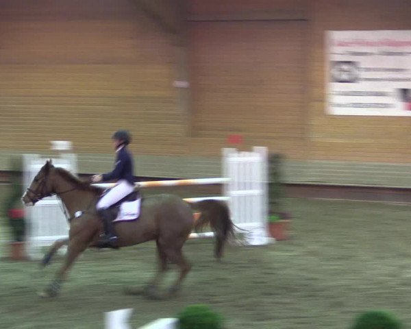 Hallen-Reitturnier Paderborn 2016