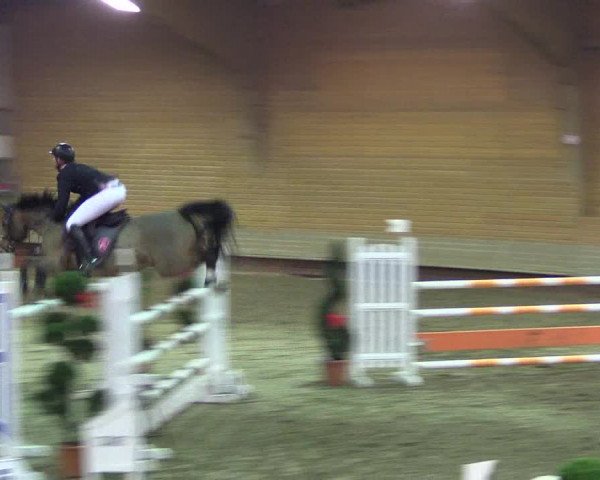 Hallen-Reitturnier Paderborn 2016