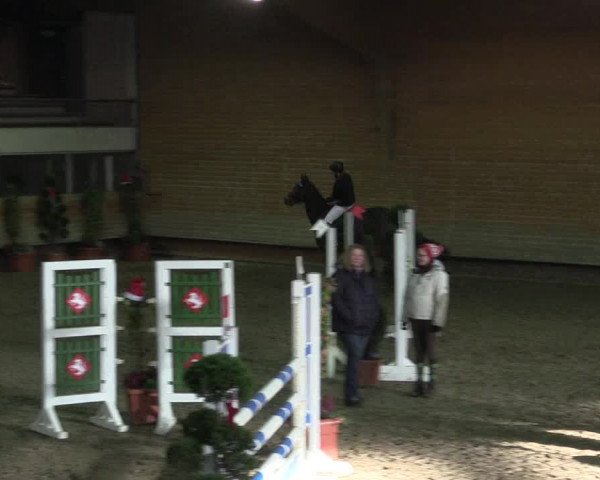 Hallen-Reitturnier Paderborn 2016