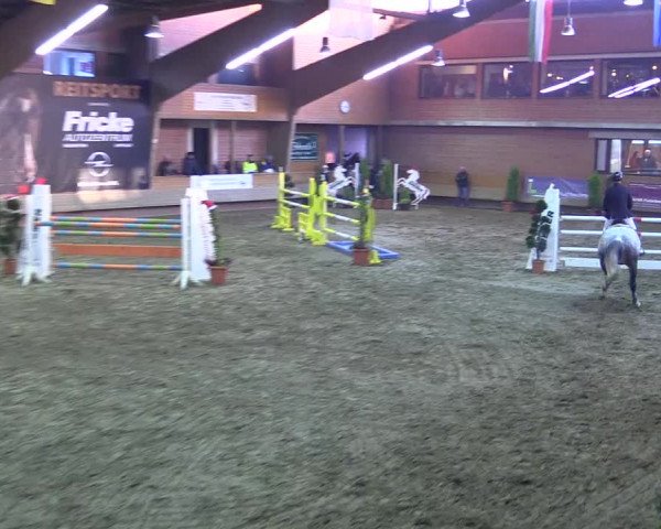 Hallen-Reitturnier Paderborn 2016
