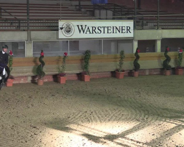 Hallen-Reitturnier Paderborn 2016