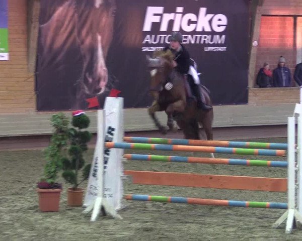 Hallen-Reitturnier Paderborn 2016