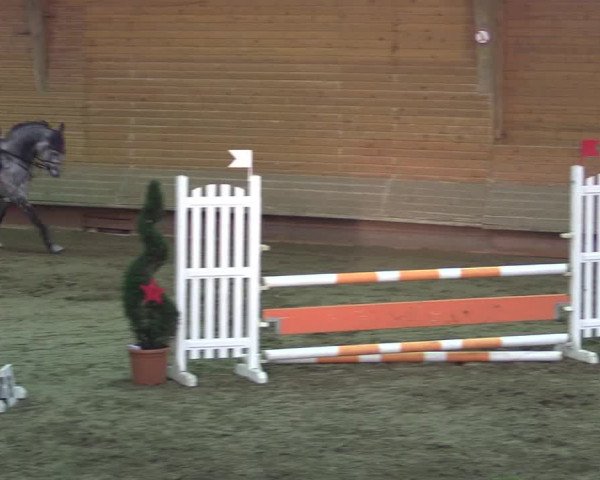 Hallen-Reitturnier Paderborn 2016