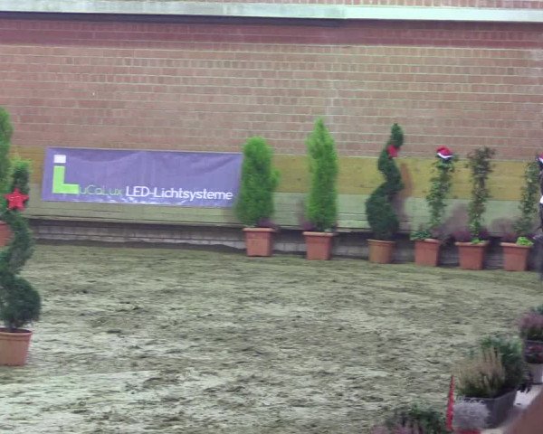 Hallen-Reitturnier Paderborn 2016