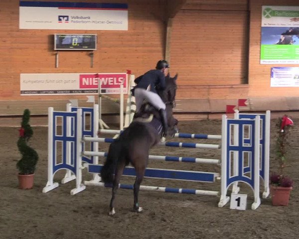 Hallen-Reitturnier Paderborn 2016