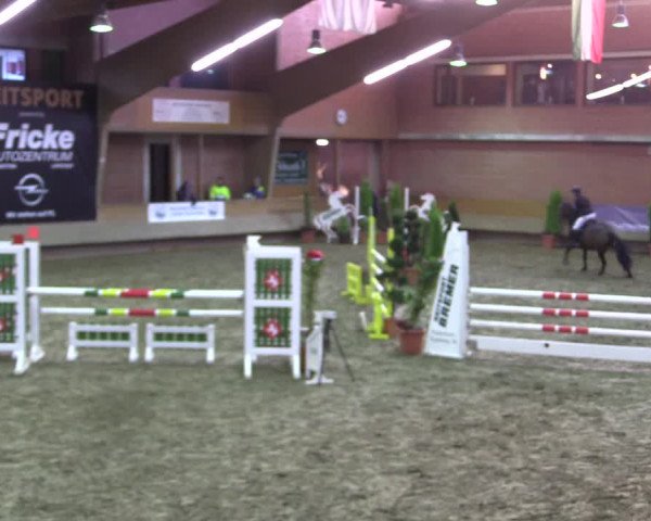 Hallen-Reitturnier Paderborn 2016