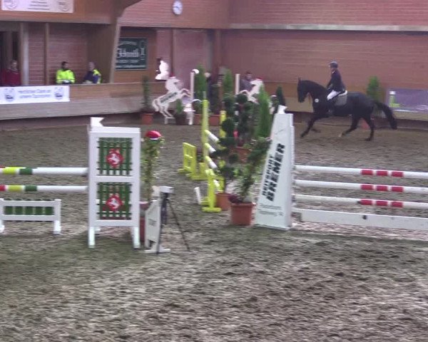 Hallen-Reitturnier Paderborn 2016