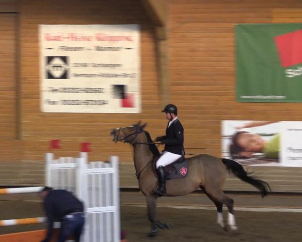 Hallen-Reitturnier Paderborn 2016