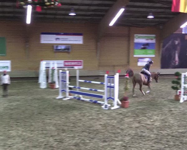 Hallen-Reitturnier Paderborn 2016