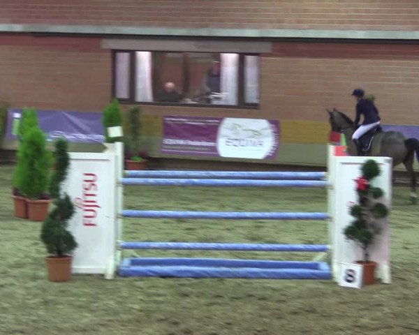 Hallen-Reitturnier Paderborn 2016