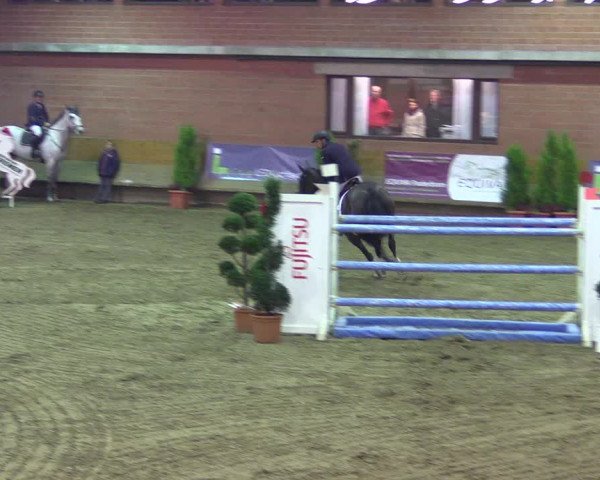 Hallen-Reitturnier Paderborn 2016