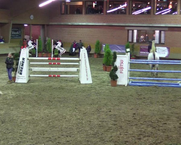 Hallen-Reitturnier Paderborn 2016