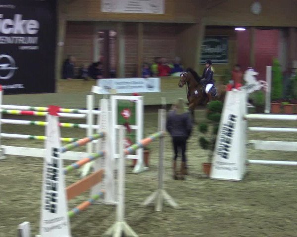 Hallen-Reitturnier Paderborn 2016
