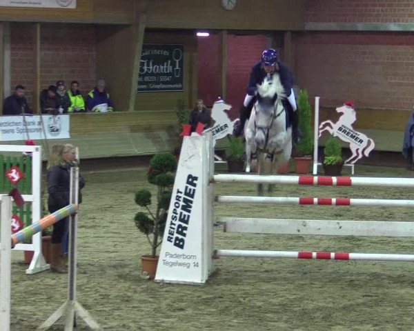 Hallen-Reitturnier Paderborn 2016
