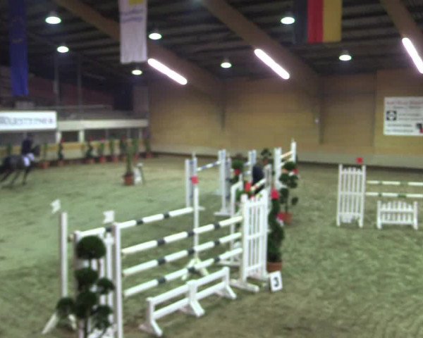 Hallen-Reitturnier Paderborn 2016