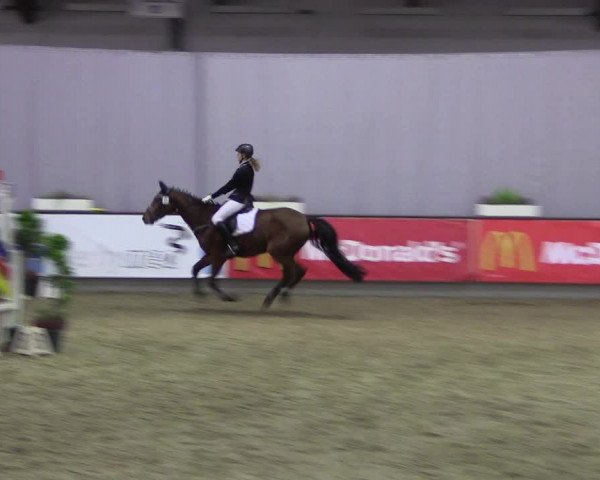 Hallen-Reitturnier Münster-Handorf 2016