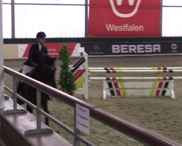 Hallen-Reitturnier Münster-Handorf 2016