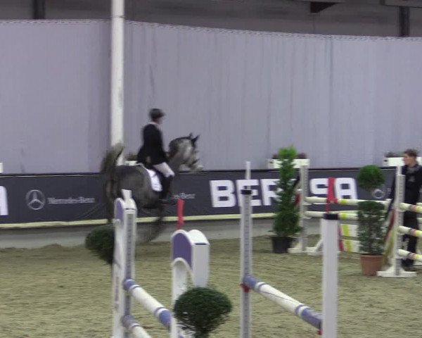 Hallen-Reitturnier Münster-Handorf 2016