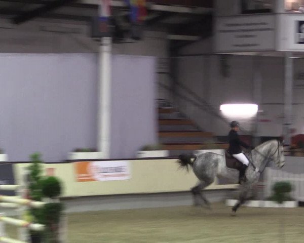 Hallen-Reitturnier Münster-Handorf 2016