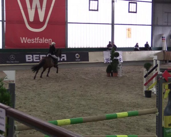 Hallen-Reitturnier Münster-Handorf 2016