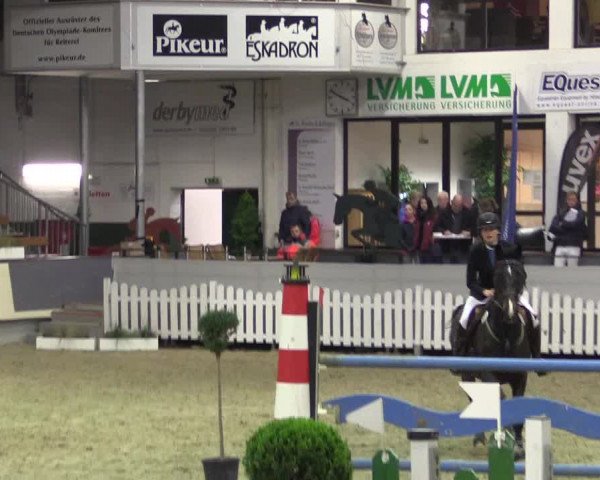 Hallen-Reitturnier Münster-Handorf 2016