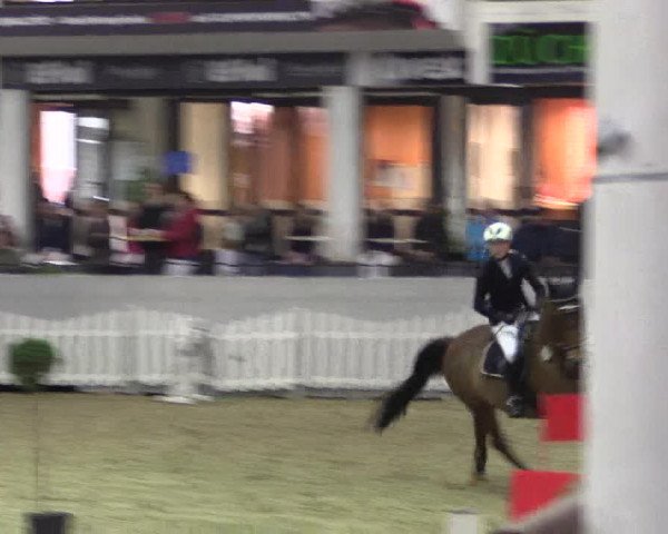 Hallen-Reitturnier Münster-Handorf 2016