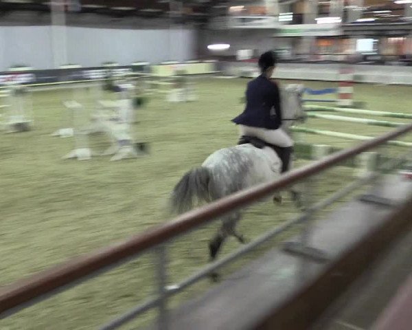 Hallen-Reitturnier Münster-Handorf 2016