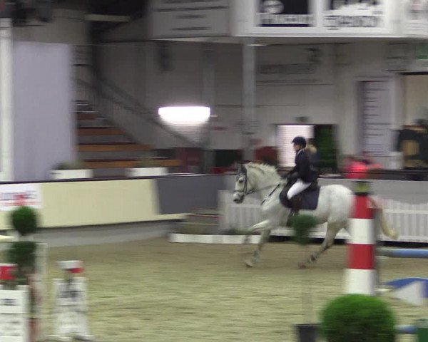 Hallen-Reitturnier Münster-Handorf 2016