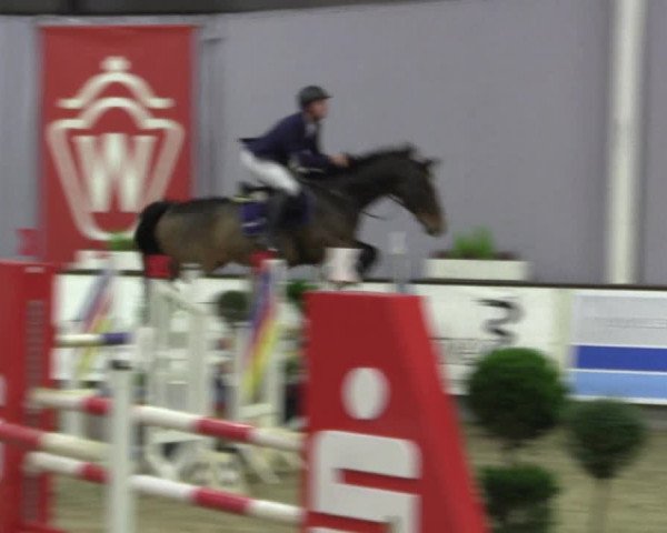 Hallen-Reitturnier Münster-Handorf 2016