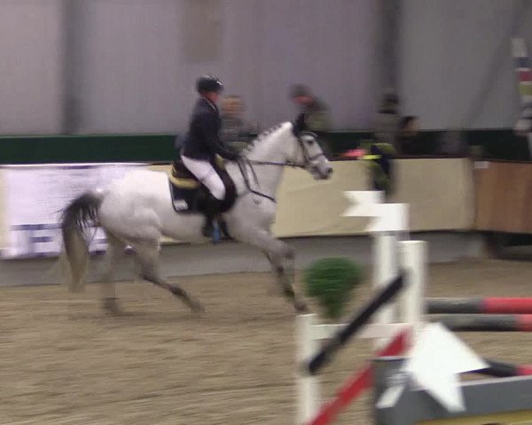 Hallen-Reitturnier Münster-Handorf 2016