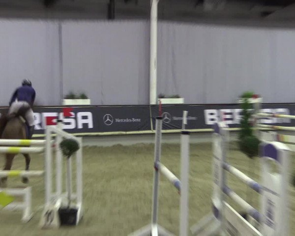 Hallen-Reitturnier Münster-Handorf 2016