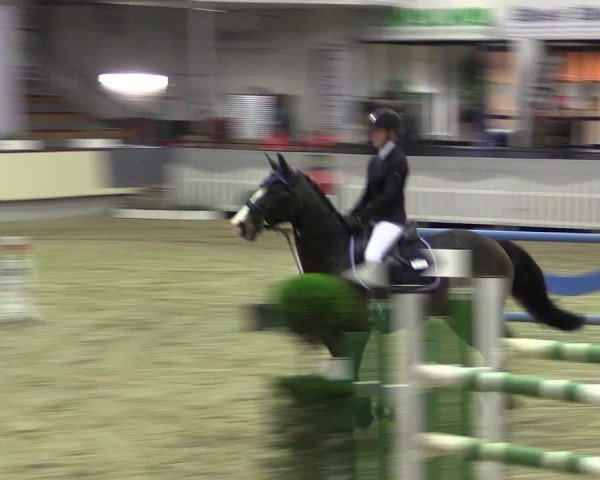 Hallen-Reitturnier Münster-Handorf 2016