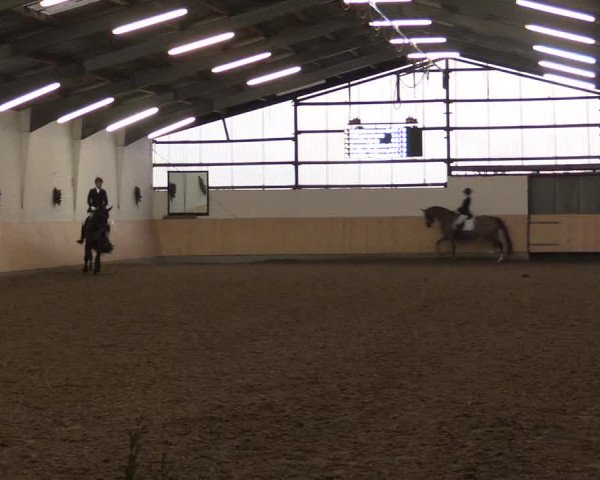 Dressur Late-Entry Datteln 2016