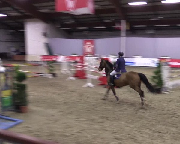 Hallen-Reitturnier Münster-Handorf 2016