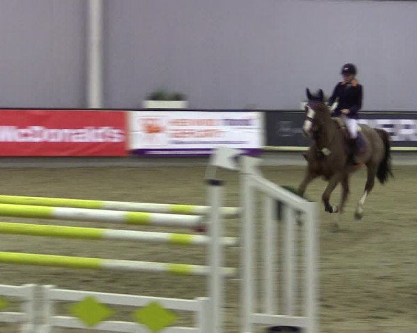Hallen-Reitturnier Münster-Handorf 2016