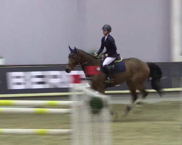 Hallen-Reitturnier Münster-Handorf 2016