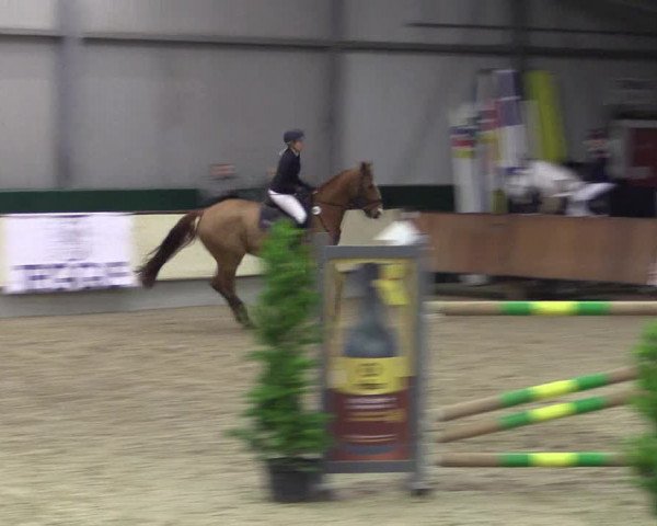 Hallen-Reitturnier Münster-Handorf 2016
