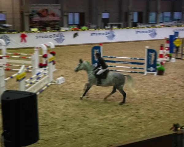 Christmas Jumping Trophy Prussendorf 2021