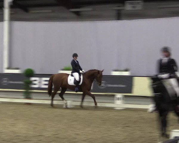 Hallen-Reitturnier Münster-Handorf 2016