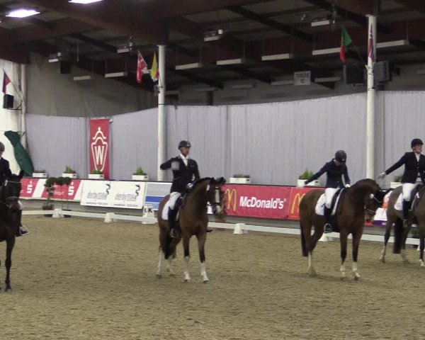 Hallen-Reitturnier Münster-Handorf 2016