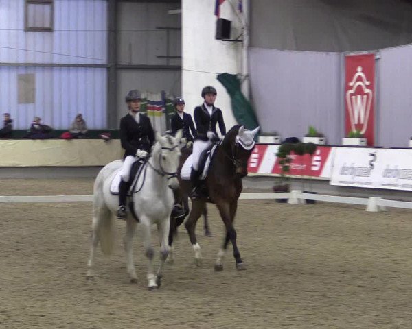 Hallen-Reitturnier Münster-Handorf 2016