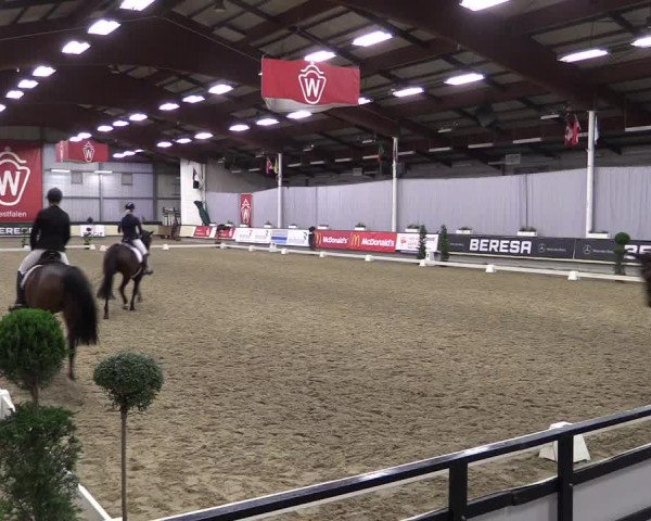 Hallen-Reitturnier Münster-Handorf 2016