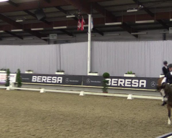 Hallen-Reitturnier Münster-Handorf 2016